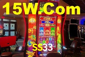 SS33 App Interface
